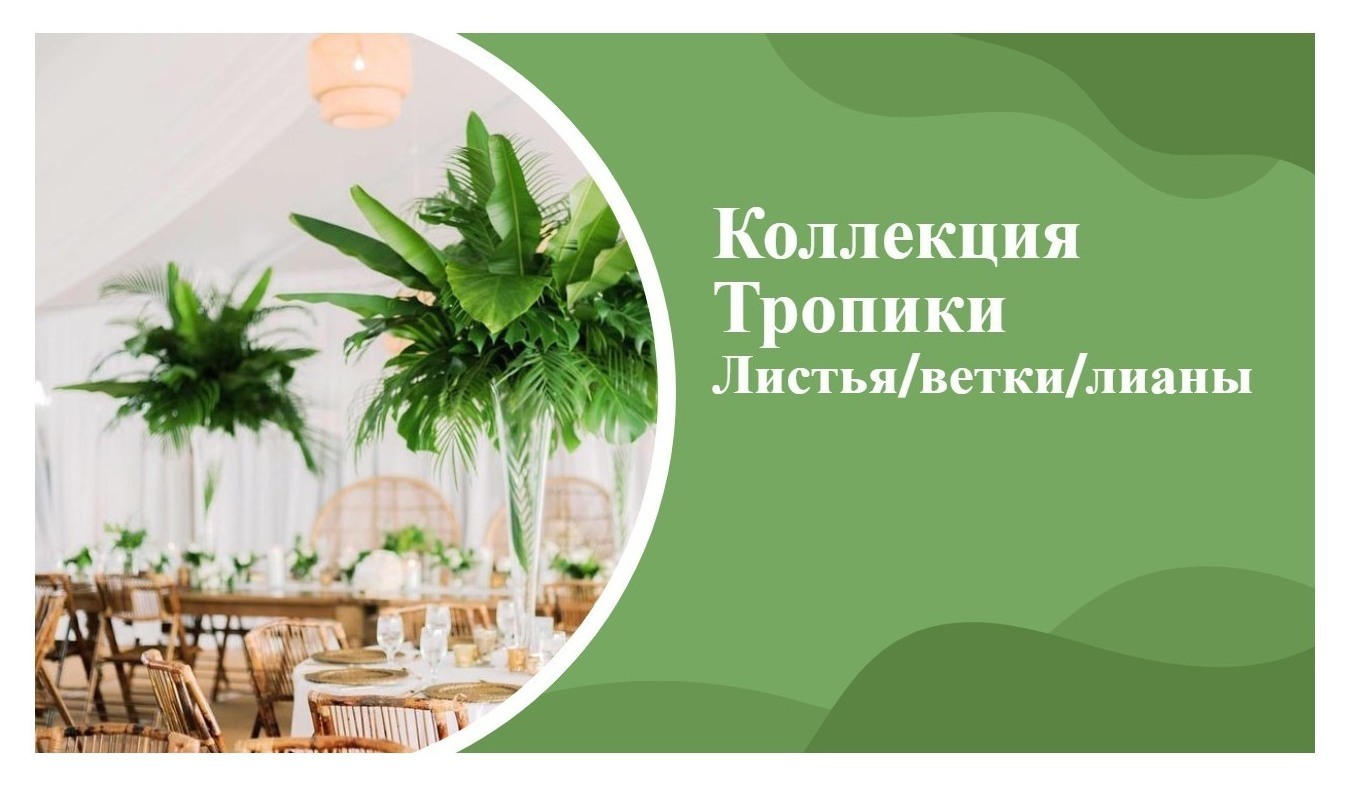 Коллекция ТРОПИКИ