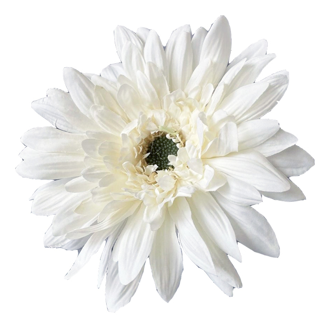 Гербера " WHITE"