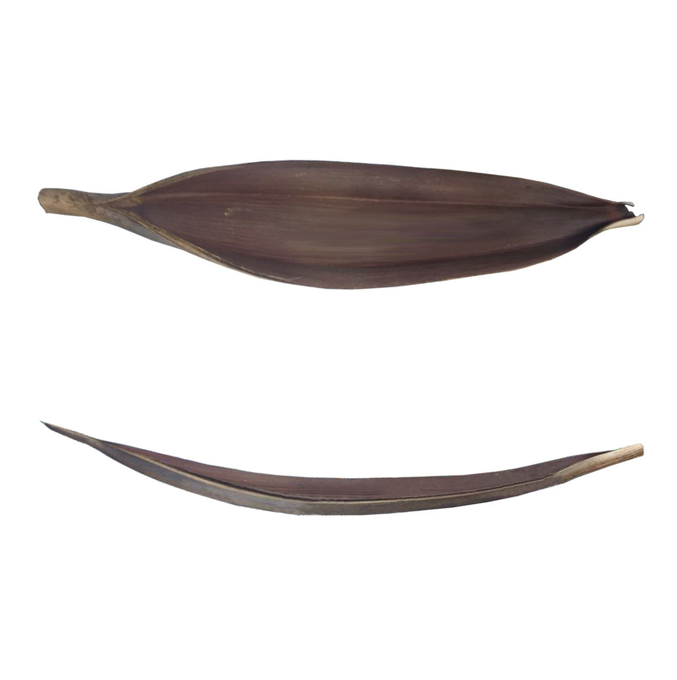 Блюдо BIG LEAF 160*24см дерево