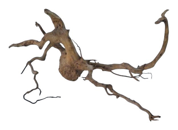 Коряга 5