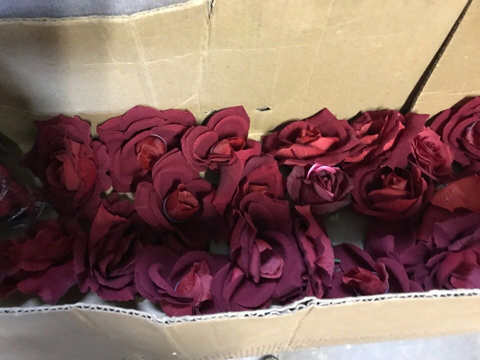 Роза одноголовая Vine