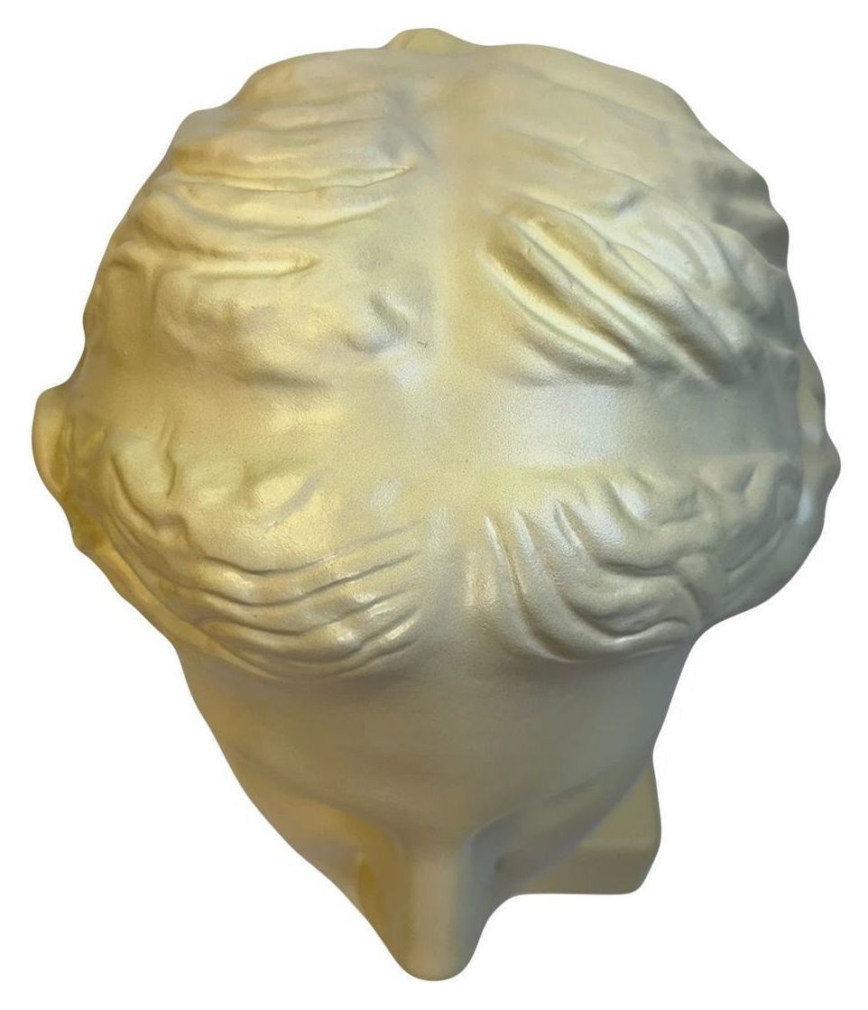 Гипсовая голова 1