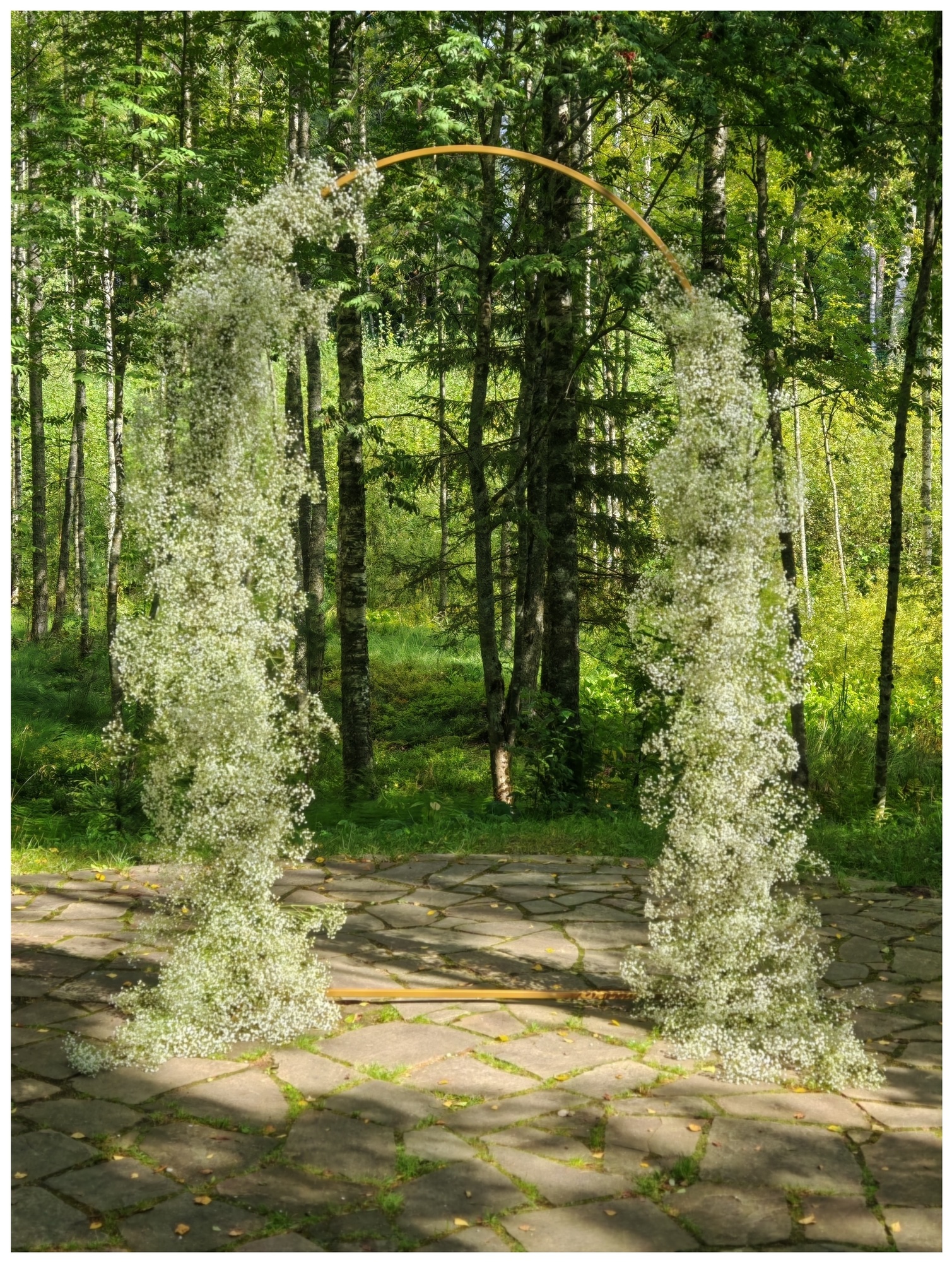 Арка 'Эльнат-2"