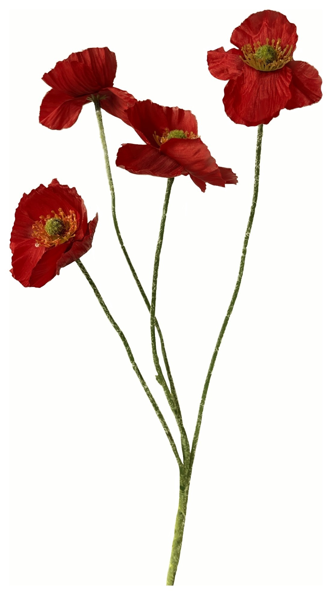 Цветок мака ( л )