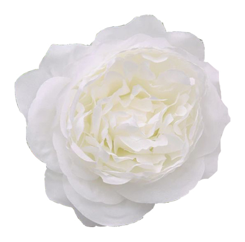 Пион "WHITE"