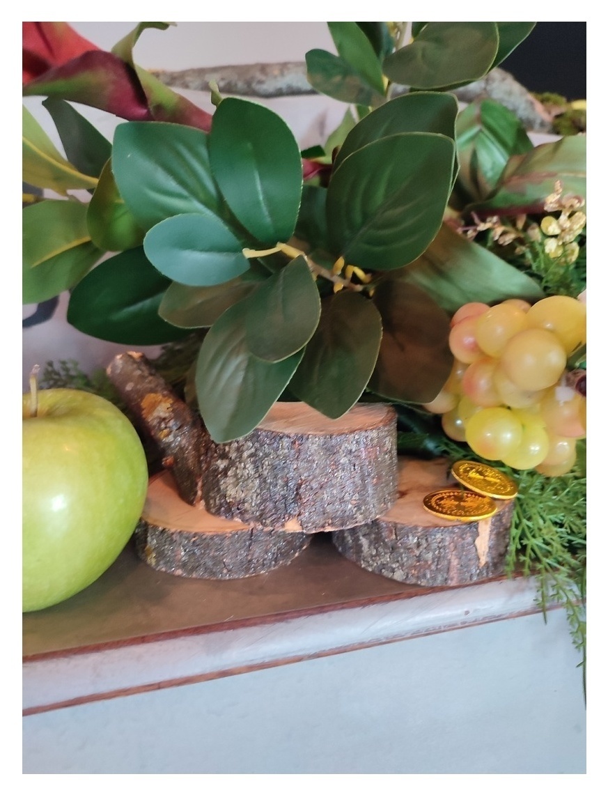 Фикус мелколистный , куст