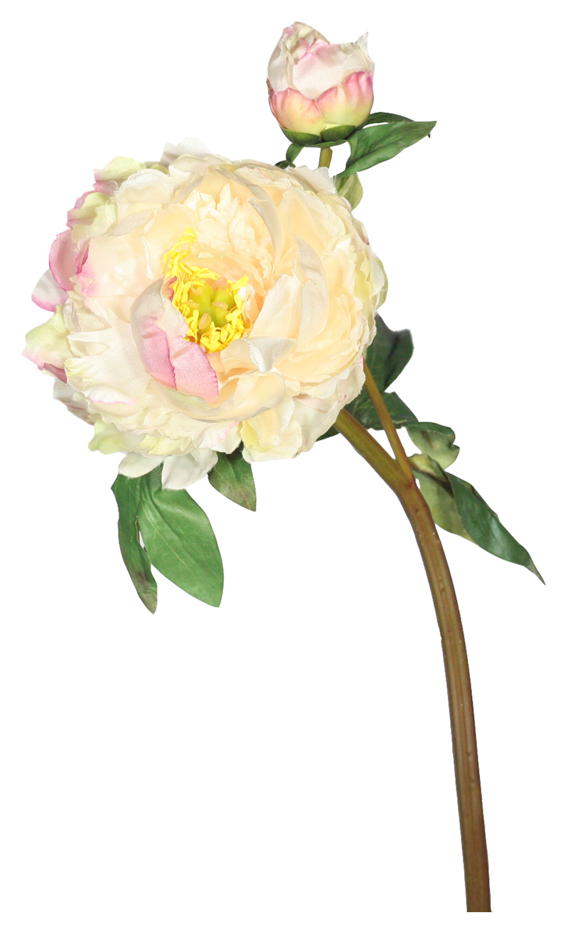 Пион 53