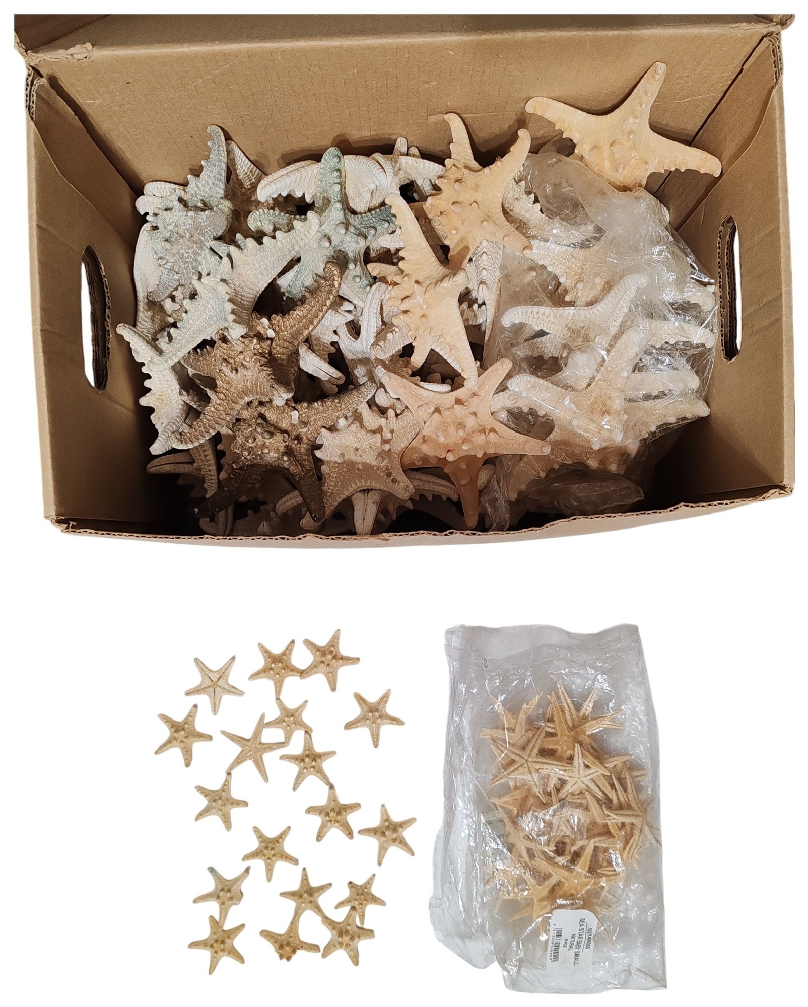 Декоративные элементы (морская тематика)