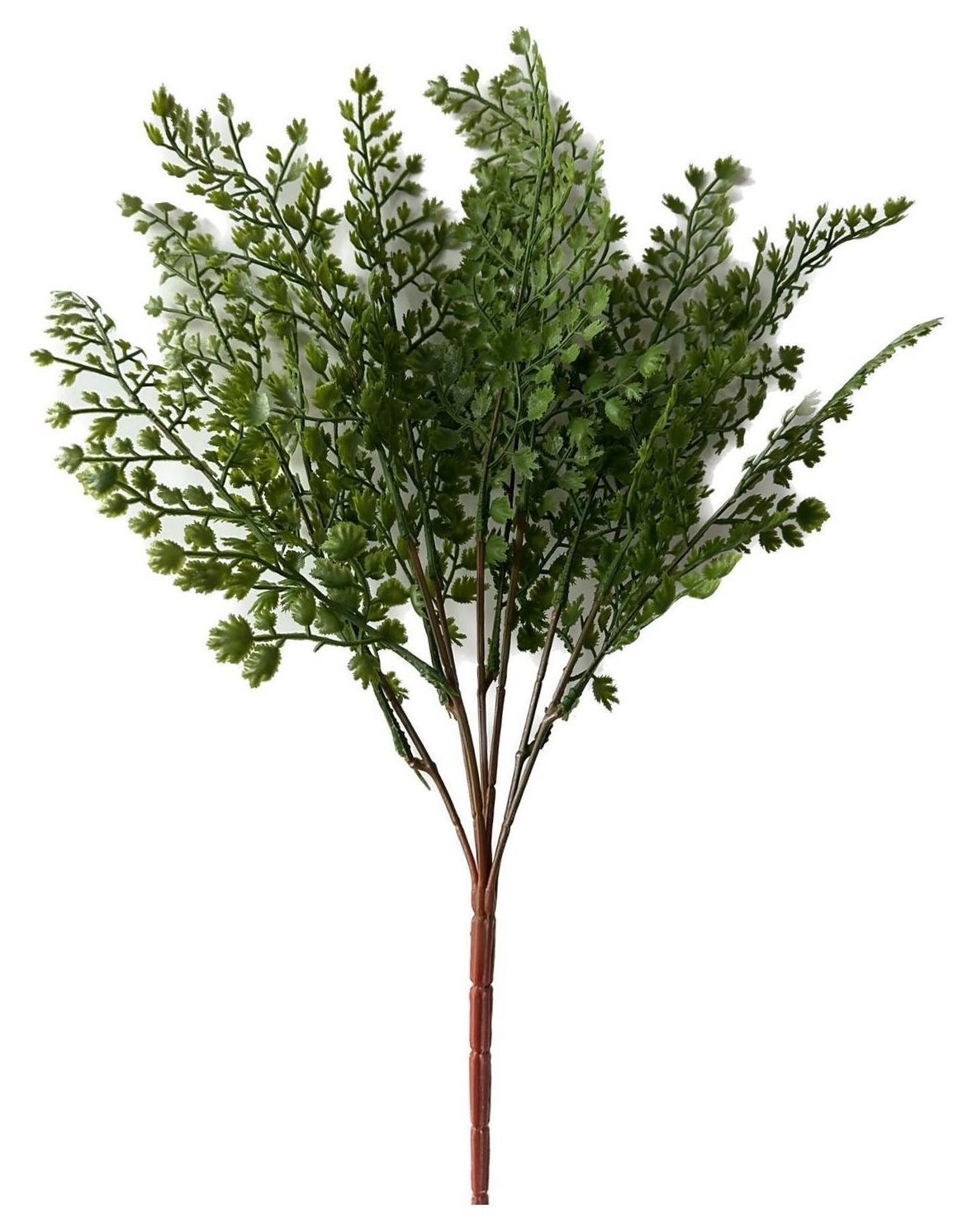 Гардения куст