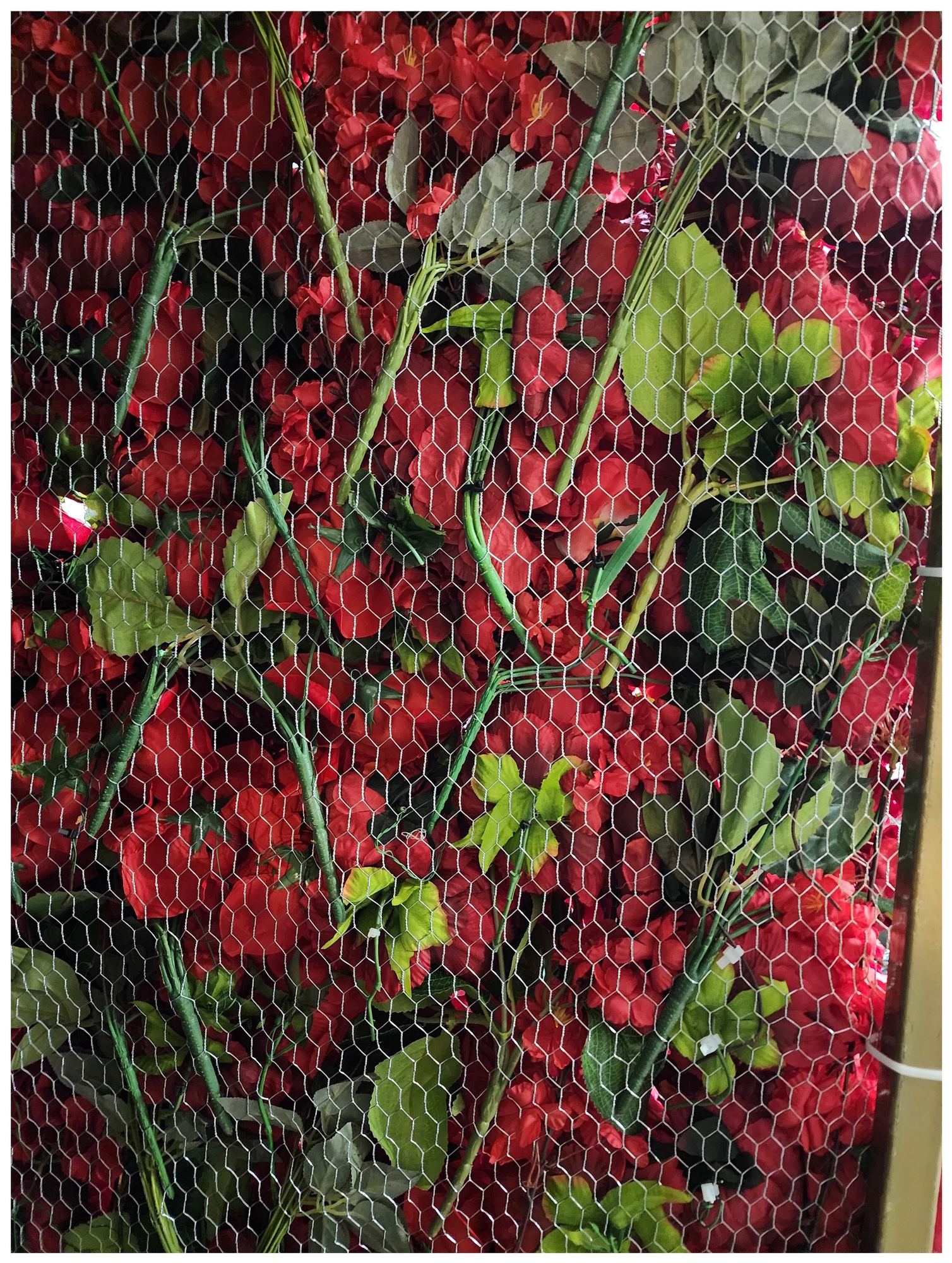 Стена из цветов
