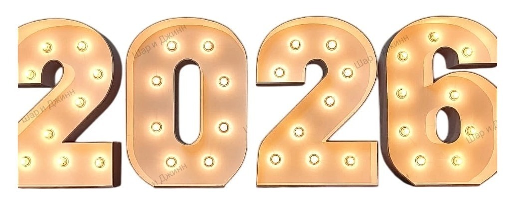 Цифра 2026