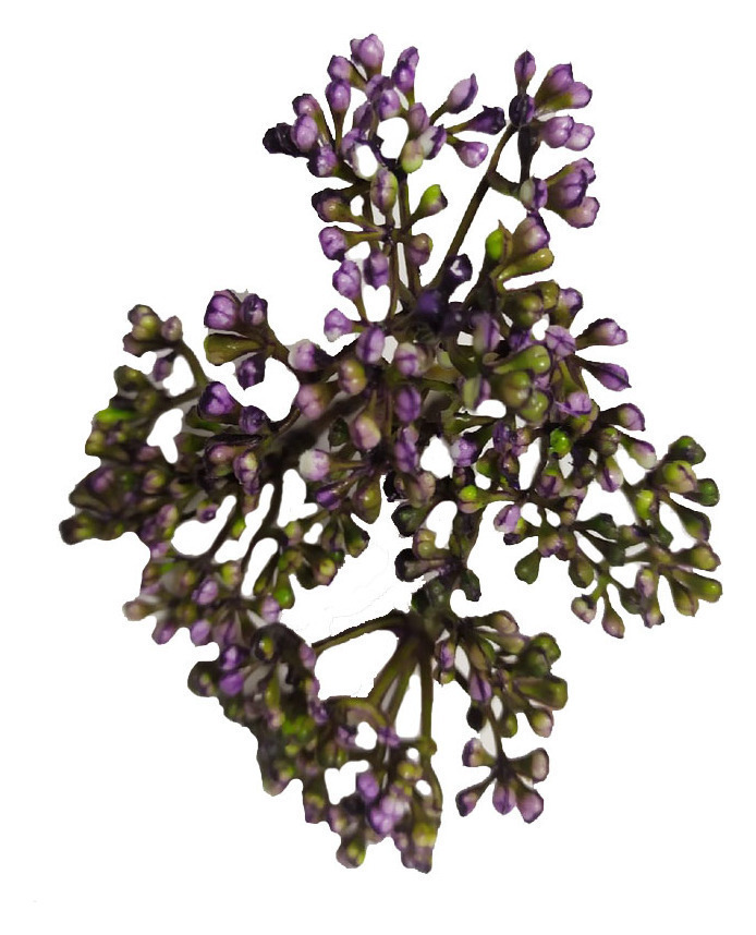 Веточка сирени, арт. 546