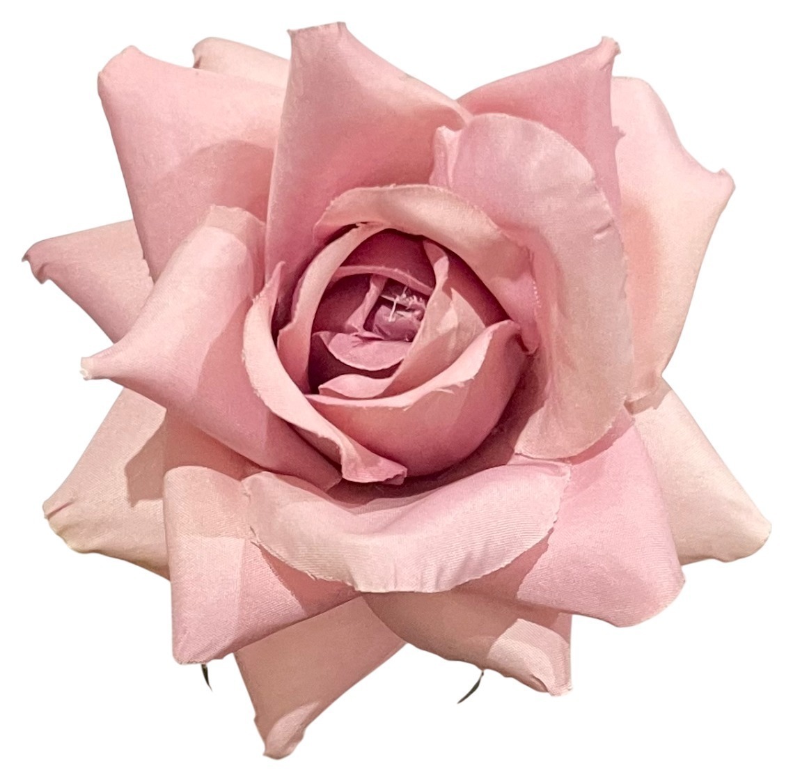 Роза «Острый лепесток» розовая