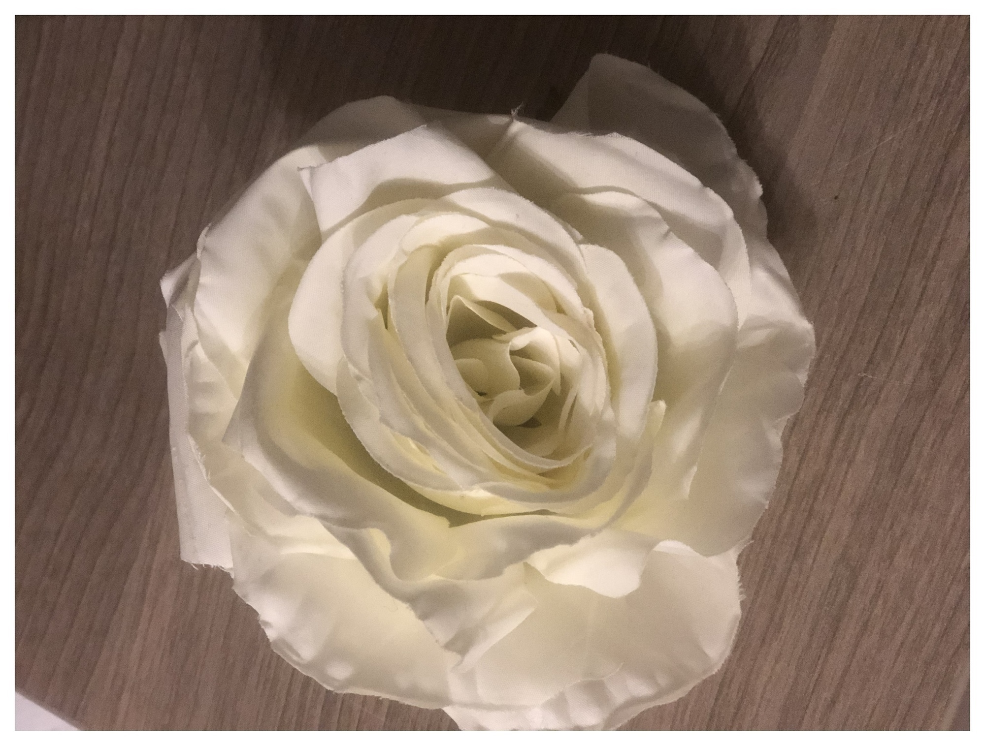 Роза Шопен голова
