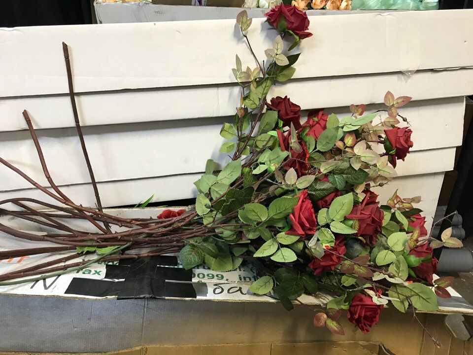 Роза кустовая Vine