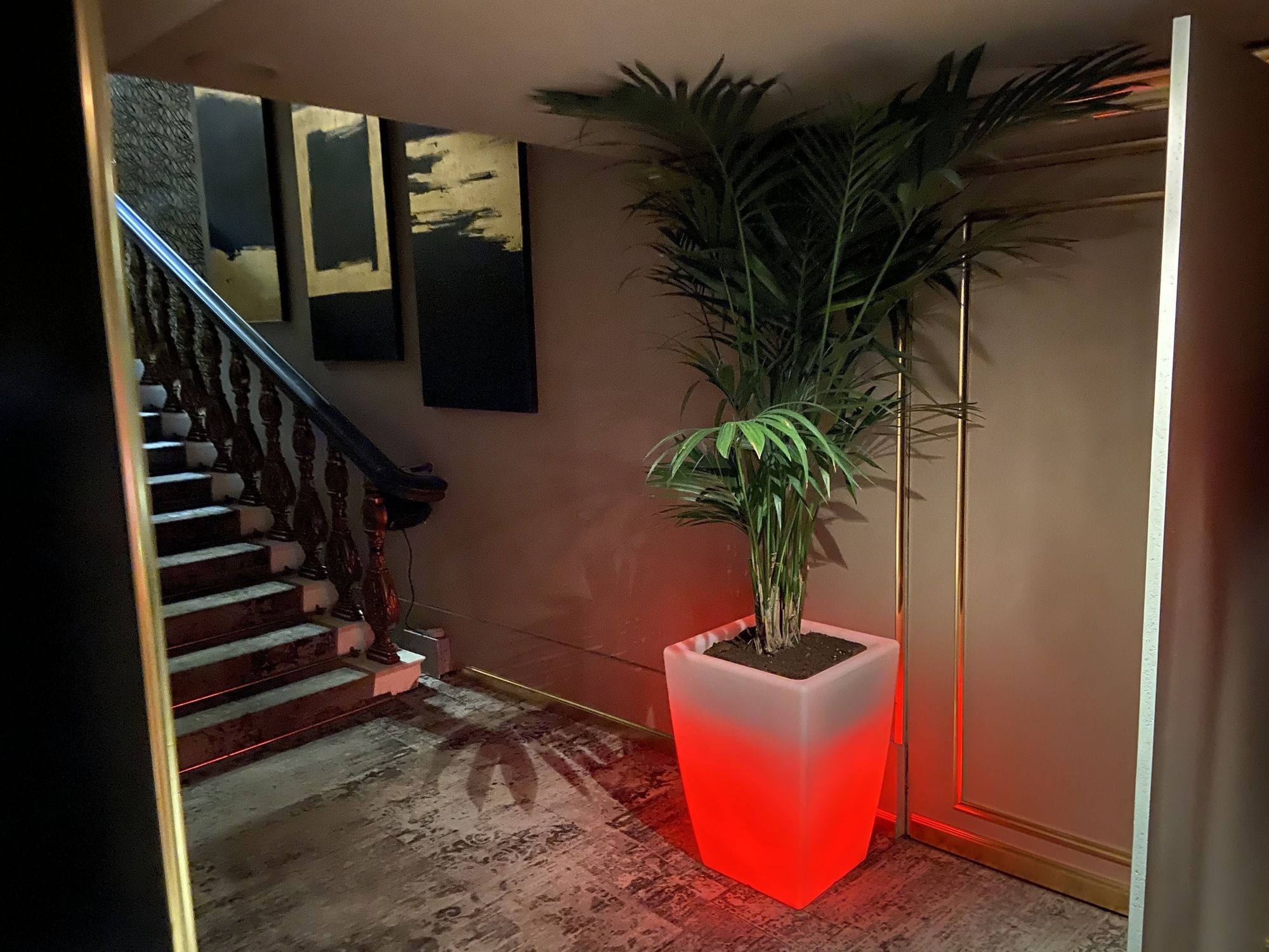 Светящееся LED RGB Кашпо / Ёмкость для льда с подсветкой