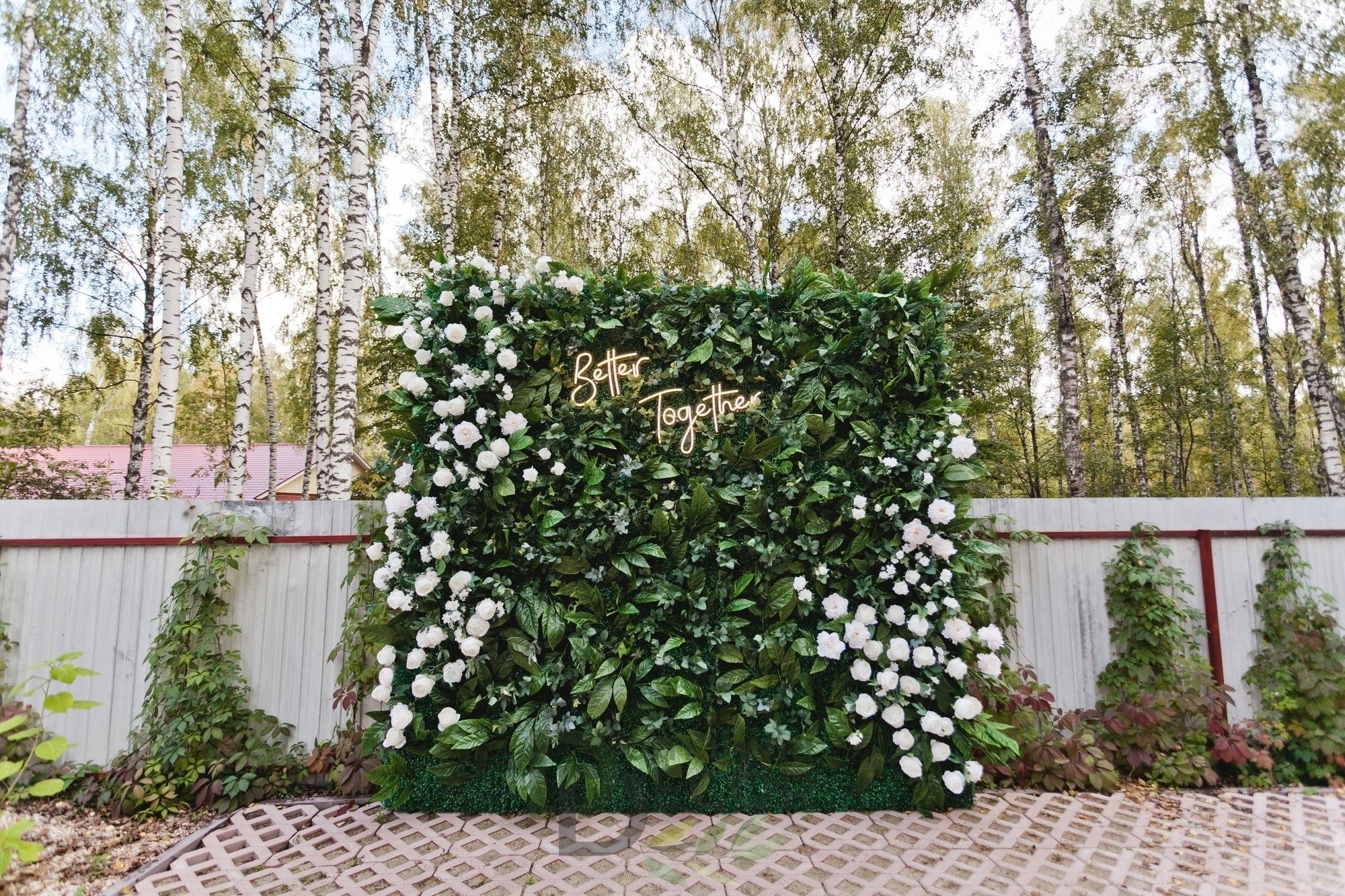 Стена из самшита