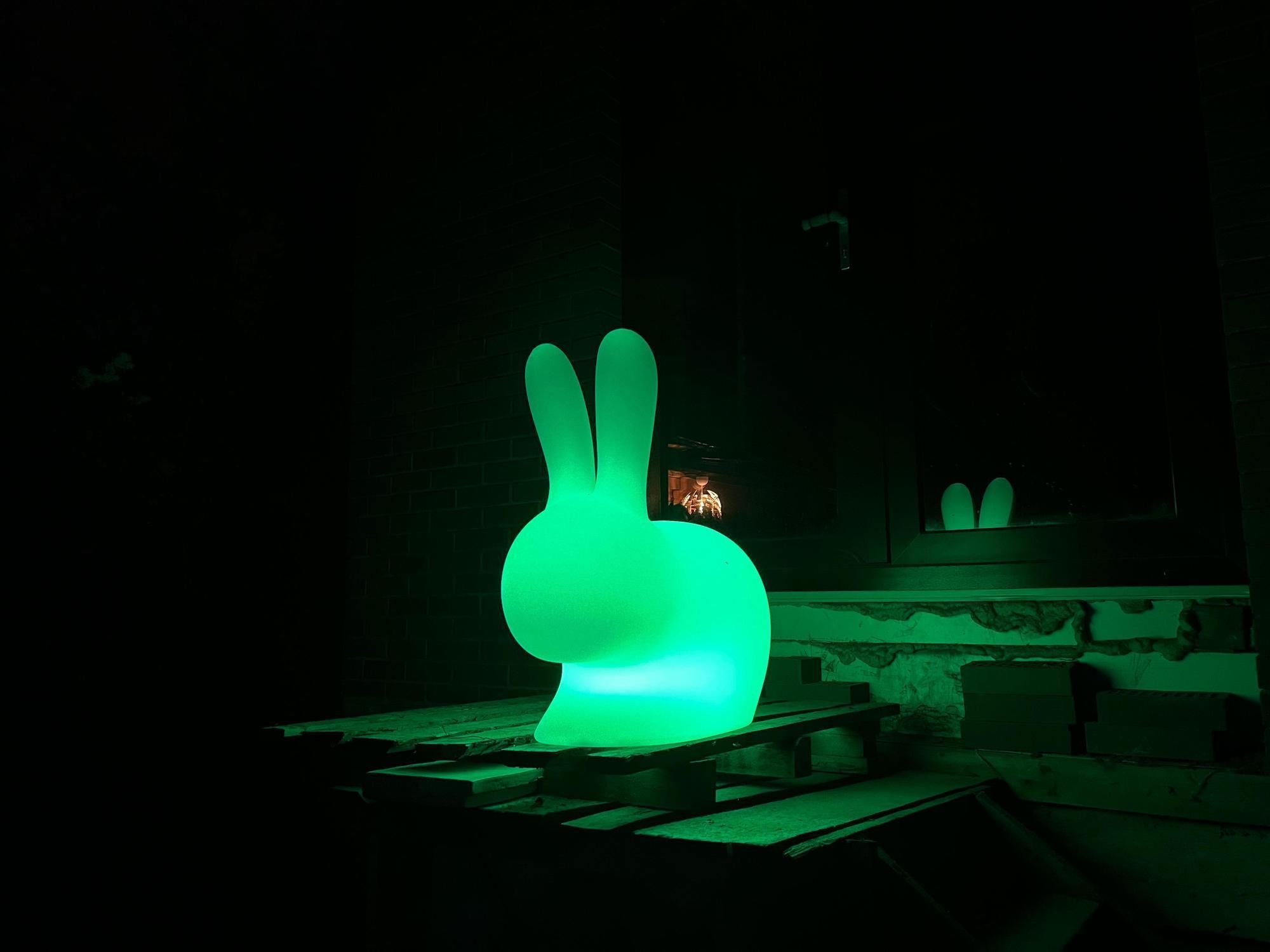 Светящийся RGB LED заяц большой