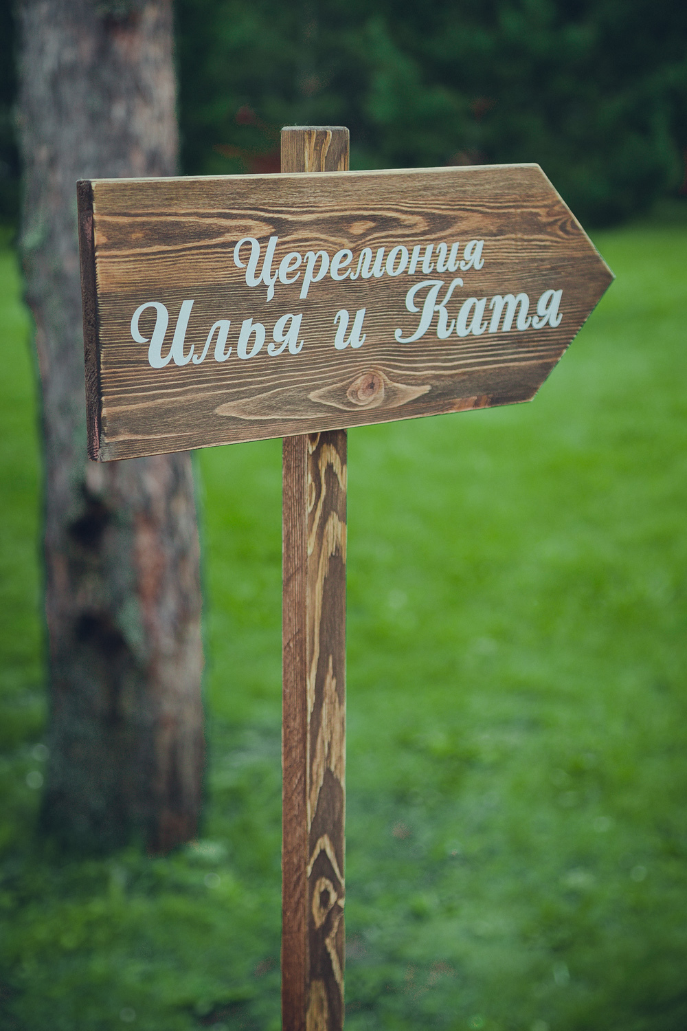 Указатель «Вуд»