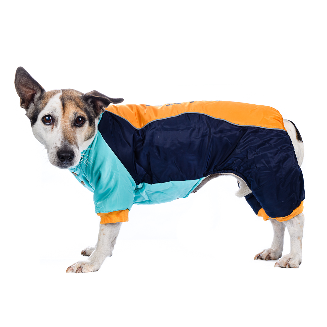 Petmax Комбинезон со вставкой для собак, 3XL, желтый