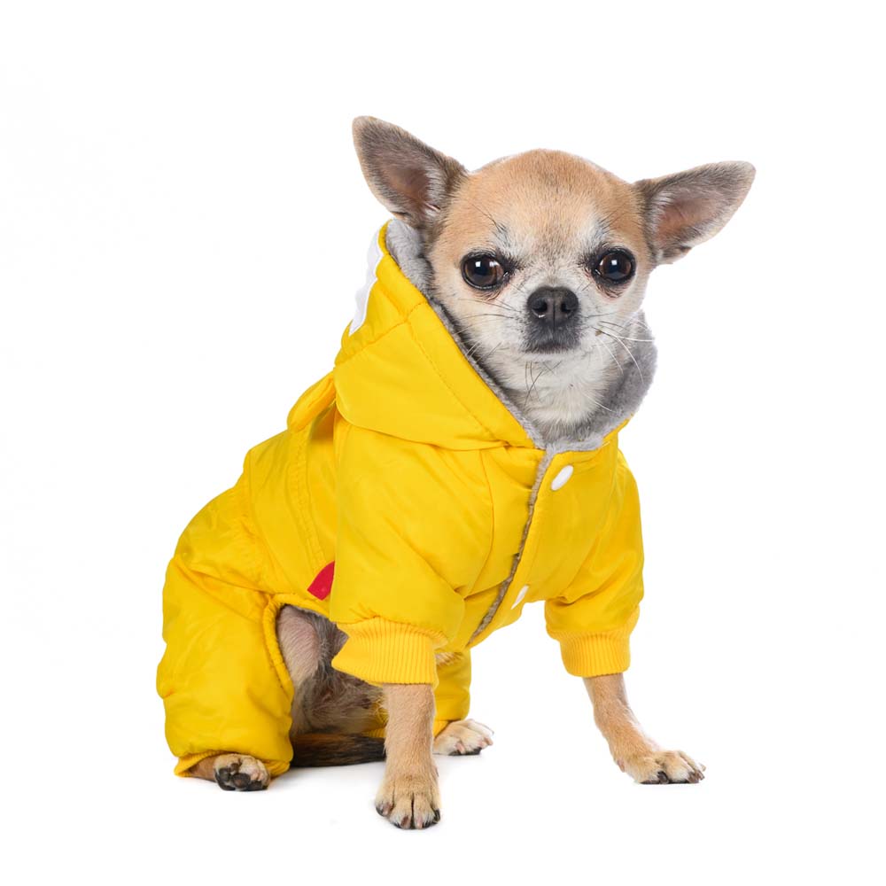 

Petmax Комбинезон с капюшоном для собак, , желтый (унисекс