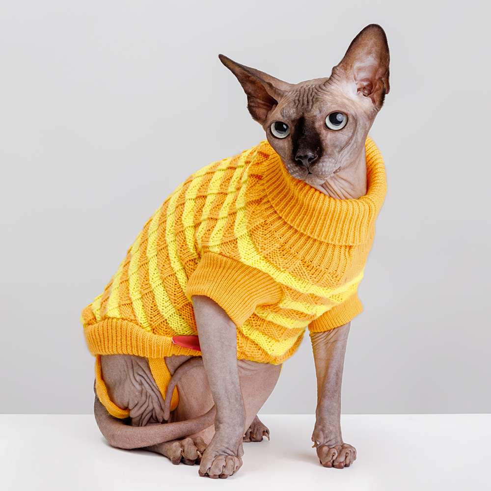 

Petmax Свитер полосатый для кошек и собак, 40 см, желтый