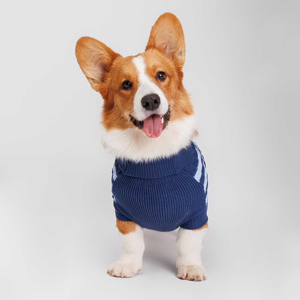 

Petmax Свитер полосатый для собак, 55 см, синий