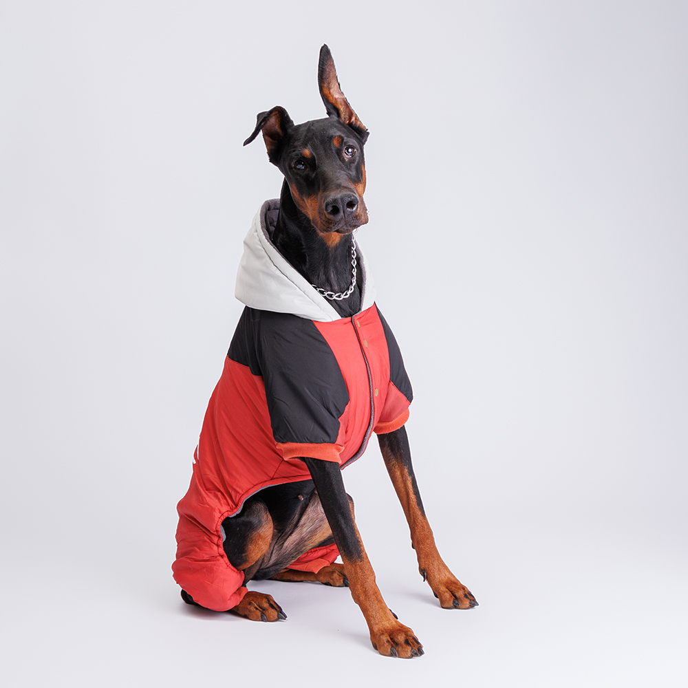 

Petmax Комбинезон с капюшоном для собак, , красно-черный, Красный
