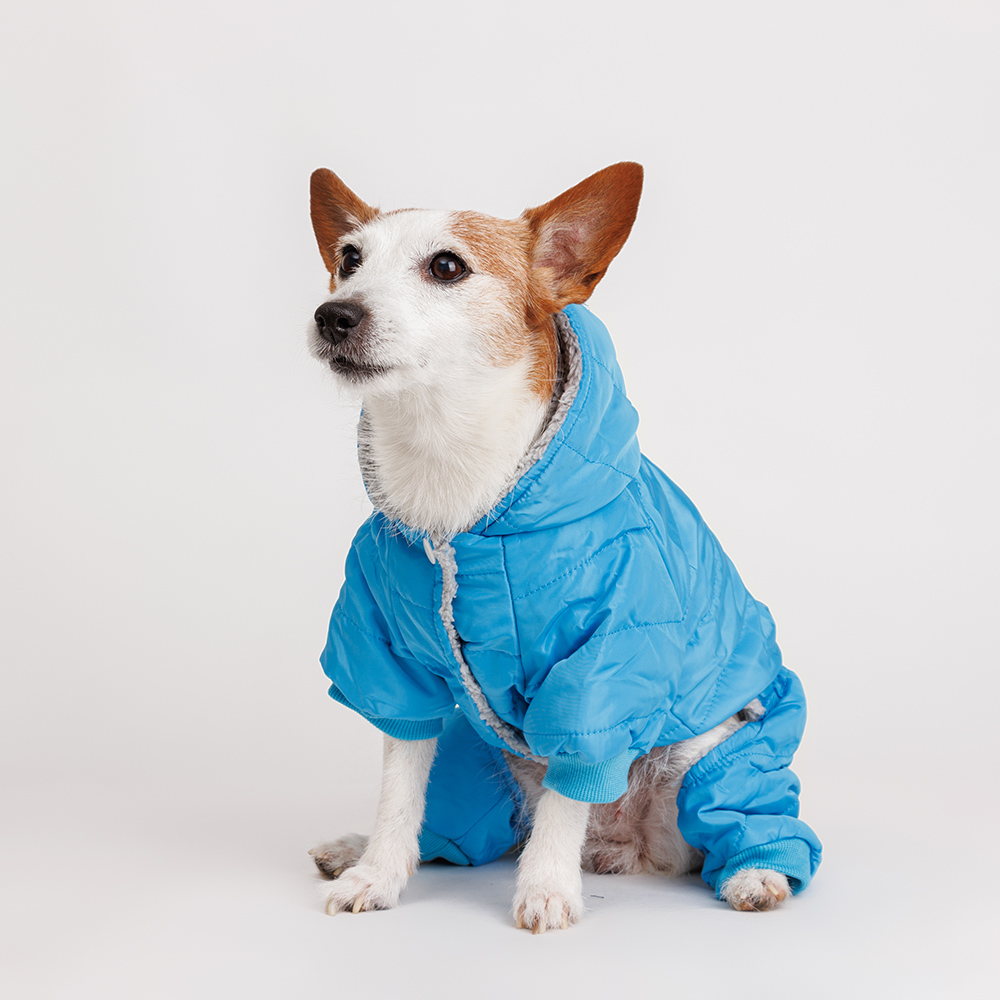 

Petmax Комбинезон для собак, , голубой