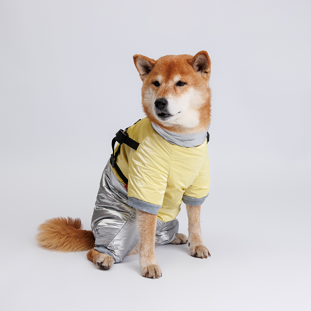 

Petmax Комбинезон для собак, , серебряно-желтый (девочка, Серый