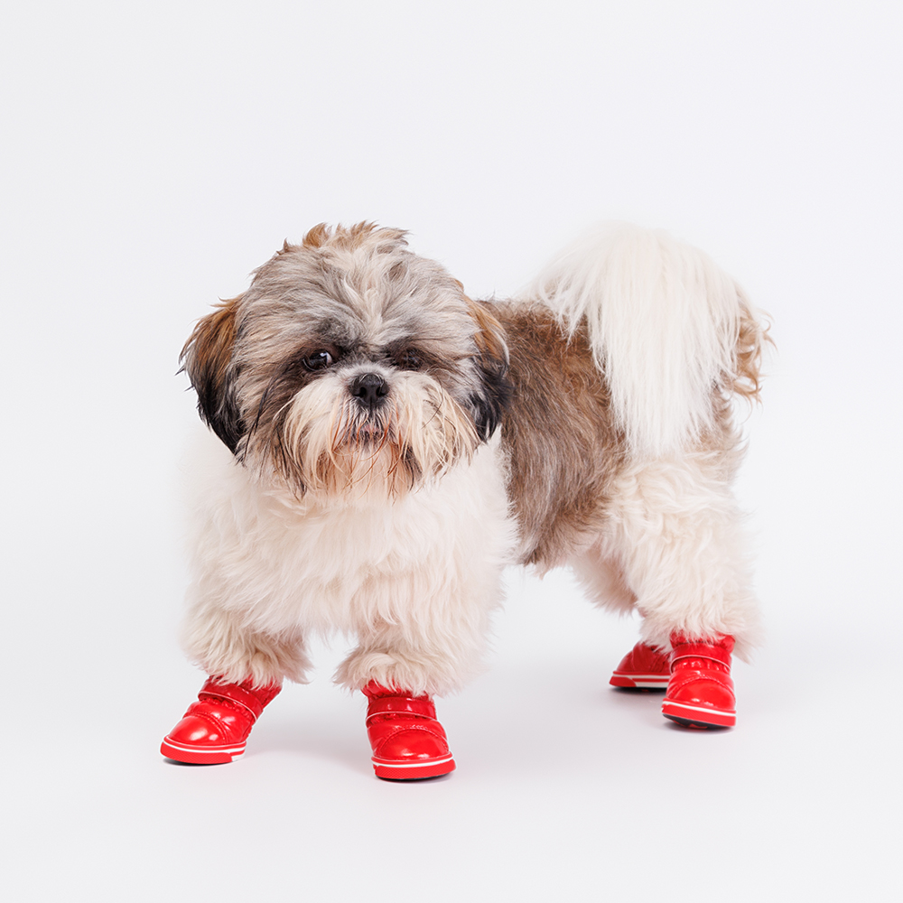 

Petmax Ботинки-дутики для собак, , красные, Красный