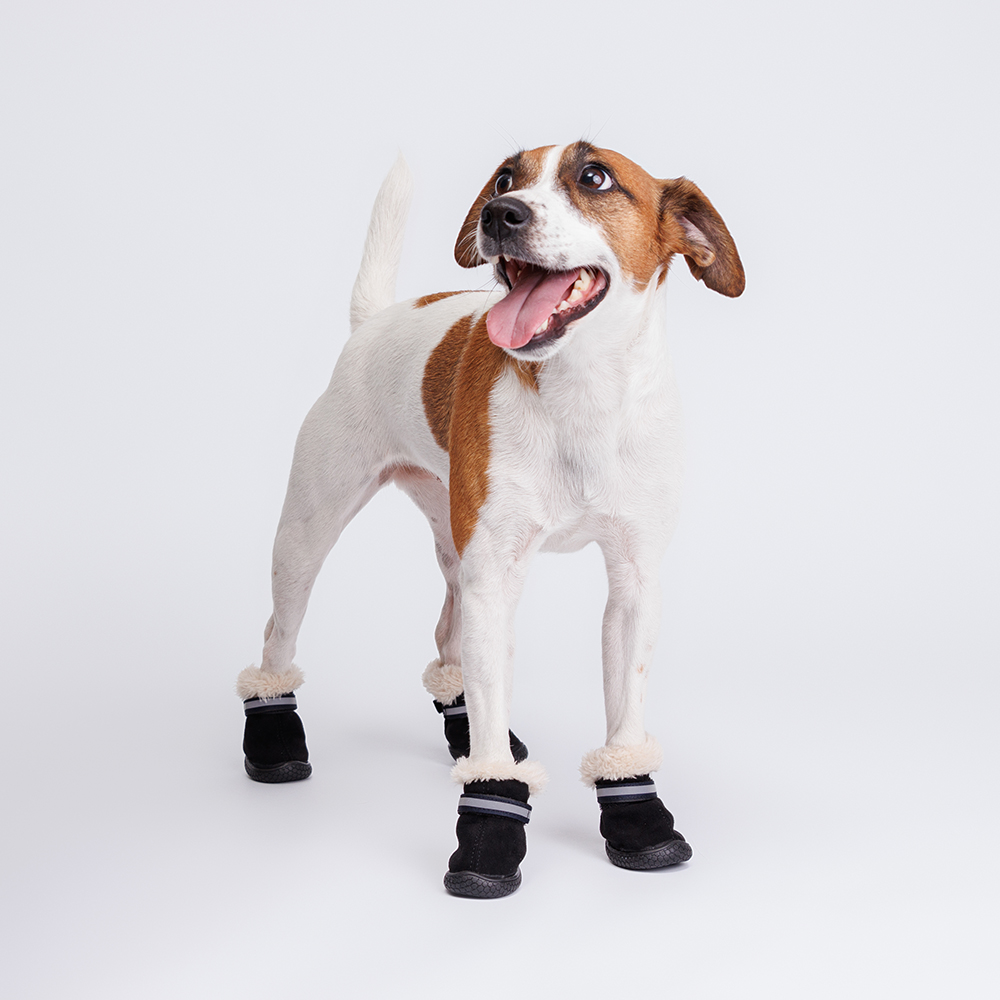 

Petmax Ботинки с мехом для собак, , черные, Черный