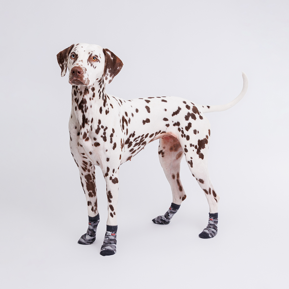 

Rungo Носки удлиненные для собак, , серый камуфляж, Зеленый