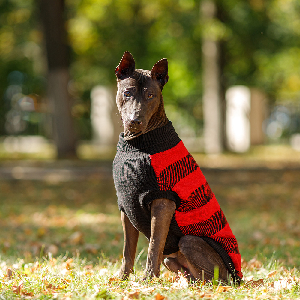 

Petmax Свитер для кошек и собак, 55 см, черно-красный