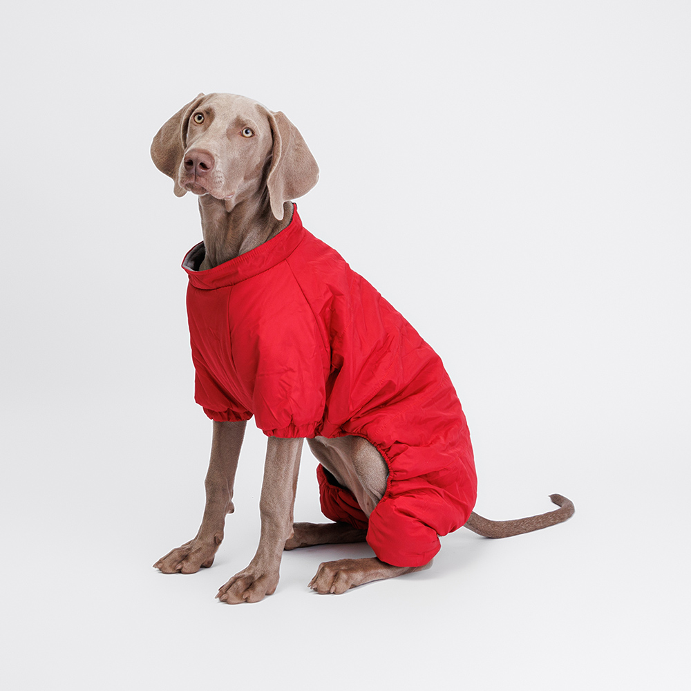 

Petmax Комбинезон с замком для собак, , красный