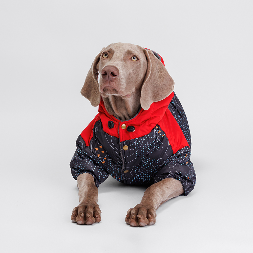

Petmax Куртка с капюшоном для собак, , красно-черная, Красный