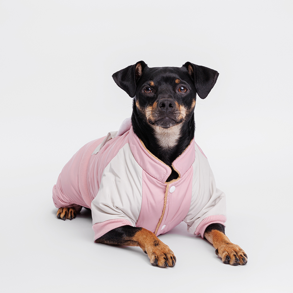 Petmax Комбинезон для собак Зайка, L, розовый