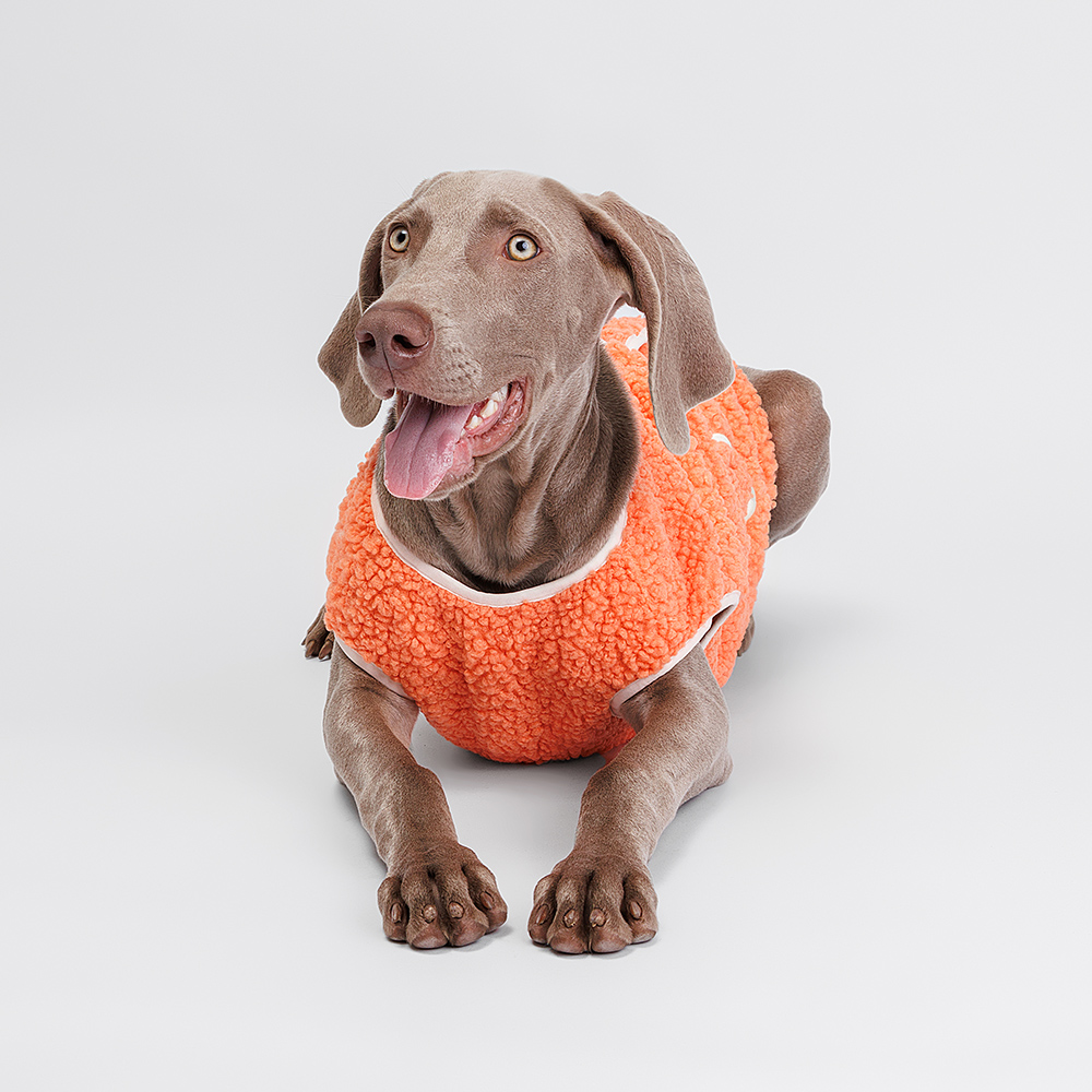 

Petmax Жилетка-пальто для собак, , оранжевая, Оранжевый