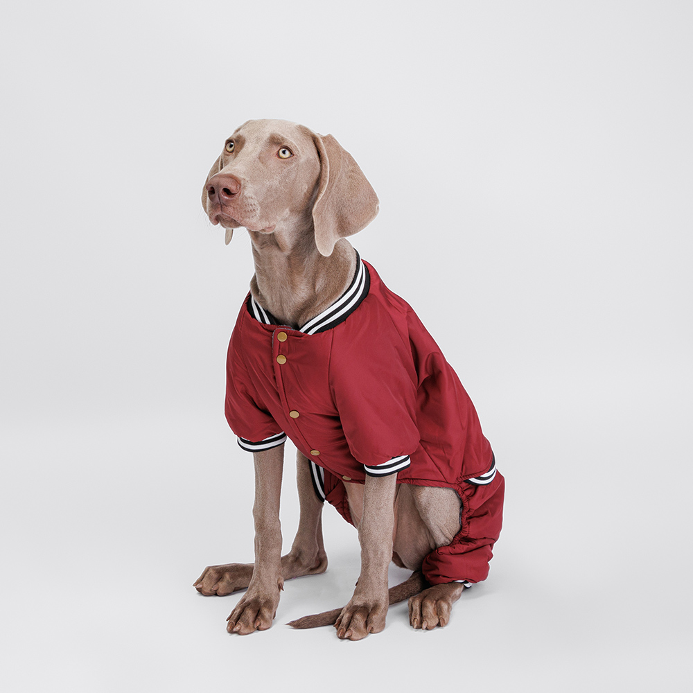 

Petmax Комбинезон для собак Комикс, , кофейный, Коричневый