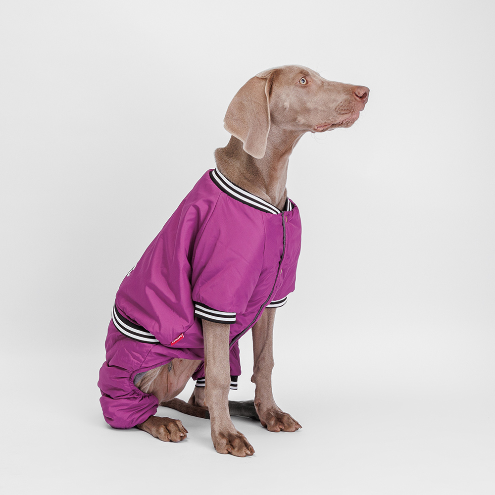 Petmax Комбинезон для собак Комикс, 3ХL, фиолетовый
