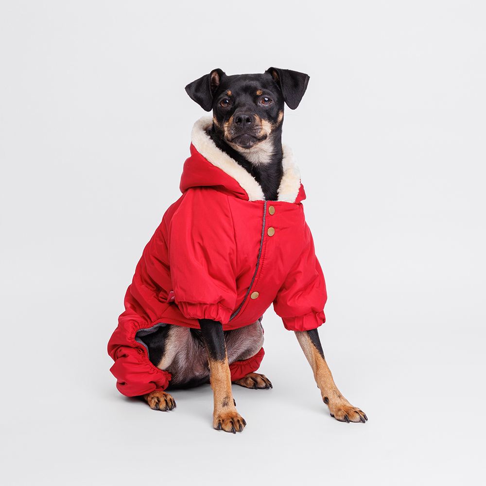 

Petmax Комбинезон с оленем для собак, , красный