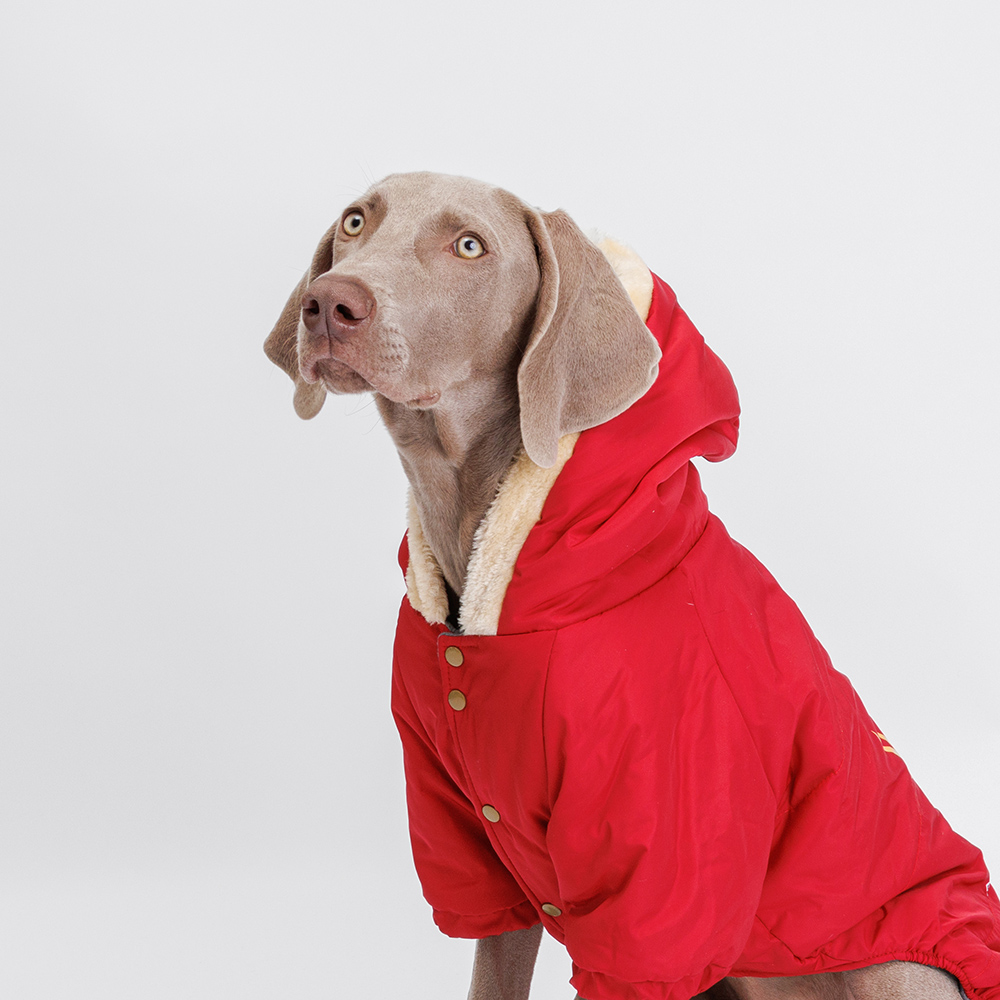 

Petmax Комбинезон с оленем для собак, , красный