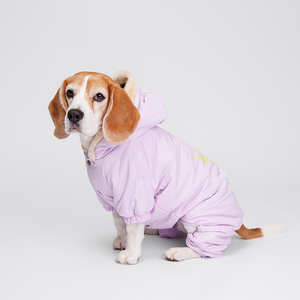 Petmax Комбинезон с оленем для собак, 4XL, фиолетовый