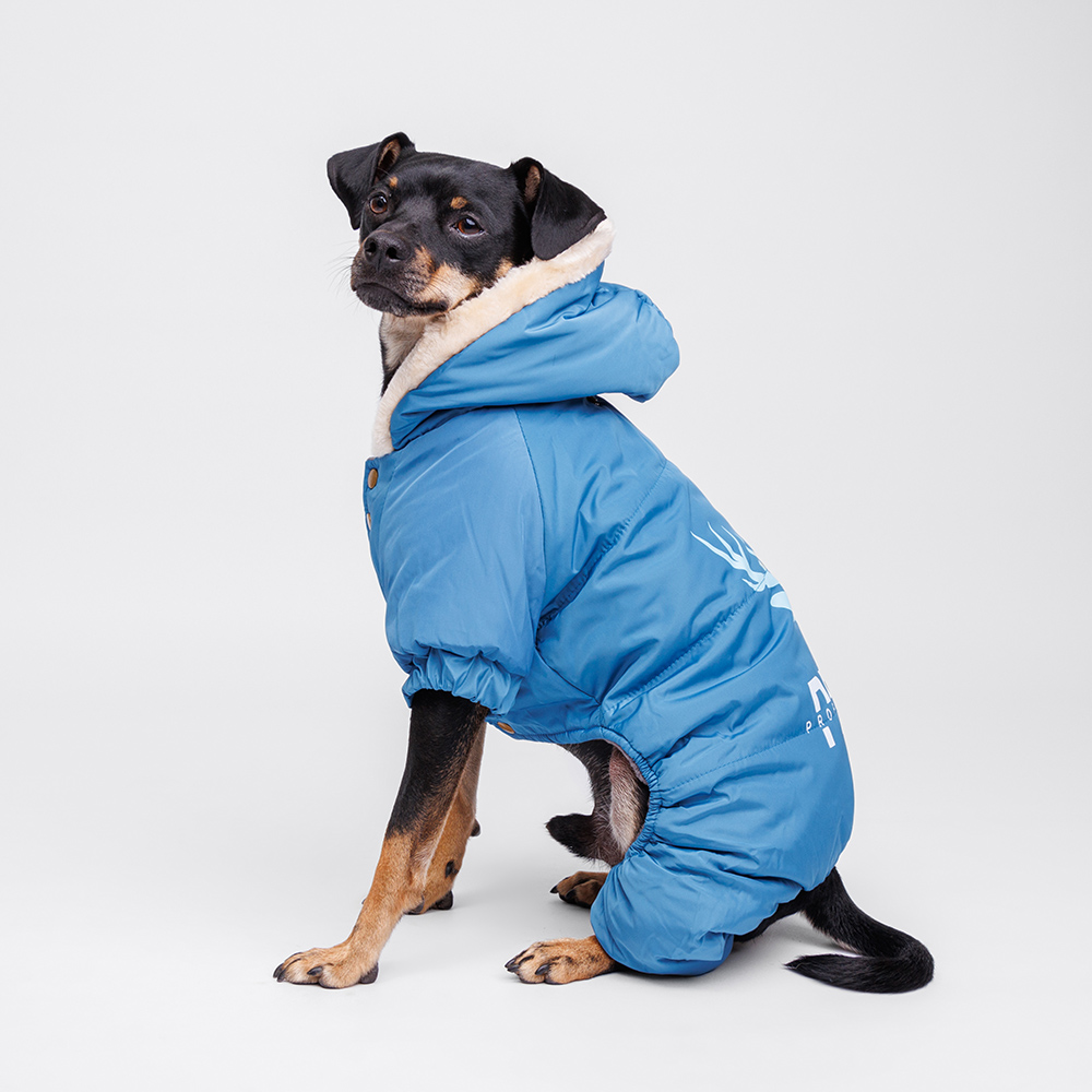 

Petmax Комбинезон с оленем для собак, , синий