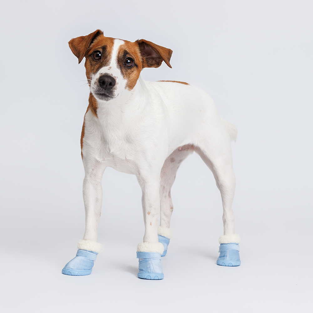 

Petmax Ботинки замшевые для собак, размер 4, синие, Синий