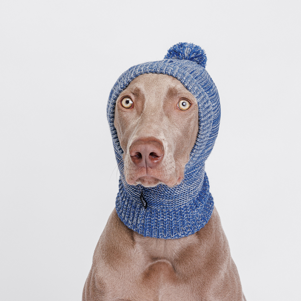 

RURRI Капор для собак, 30x29 см, синий