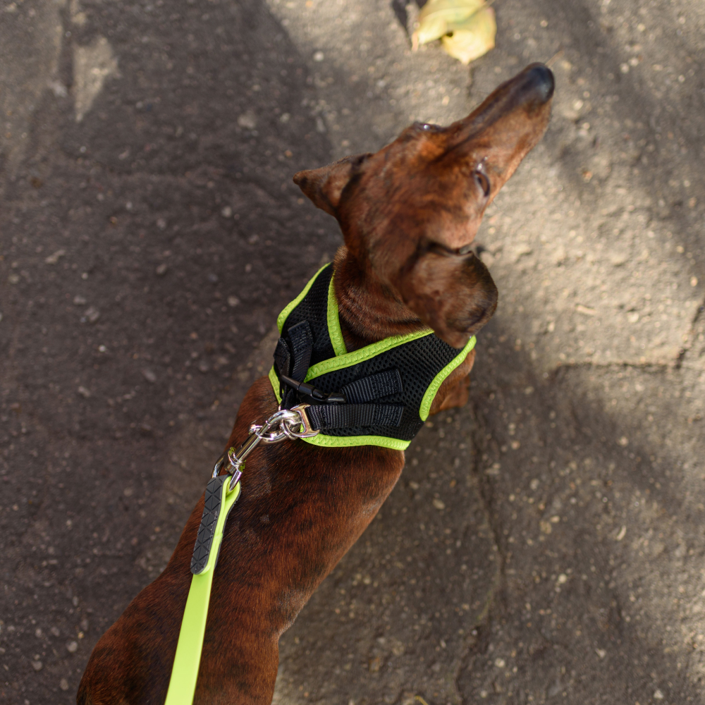 

Rungo Шлейка-жилетка для собак Air, обхват груди  см, лента 20 мм, желтая, Желтый