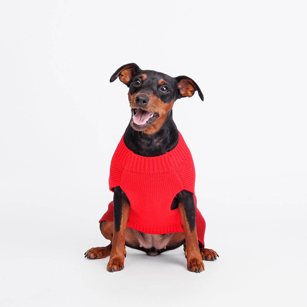 

Petmax Свитер с оленем для кошек и собак, , красный