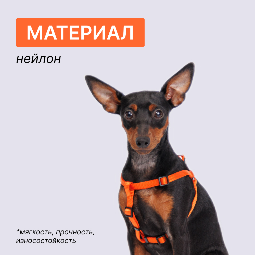 

Rungo Шлейка для собак нейлоновая Step-in, обхват груди , ширина 15 мм, оранжевая, Оранжевый