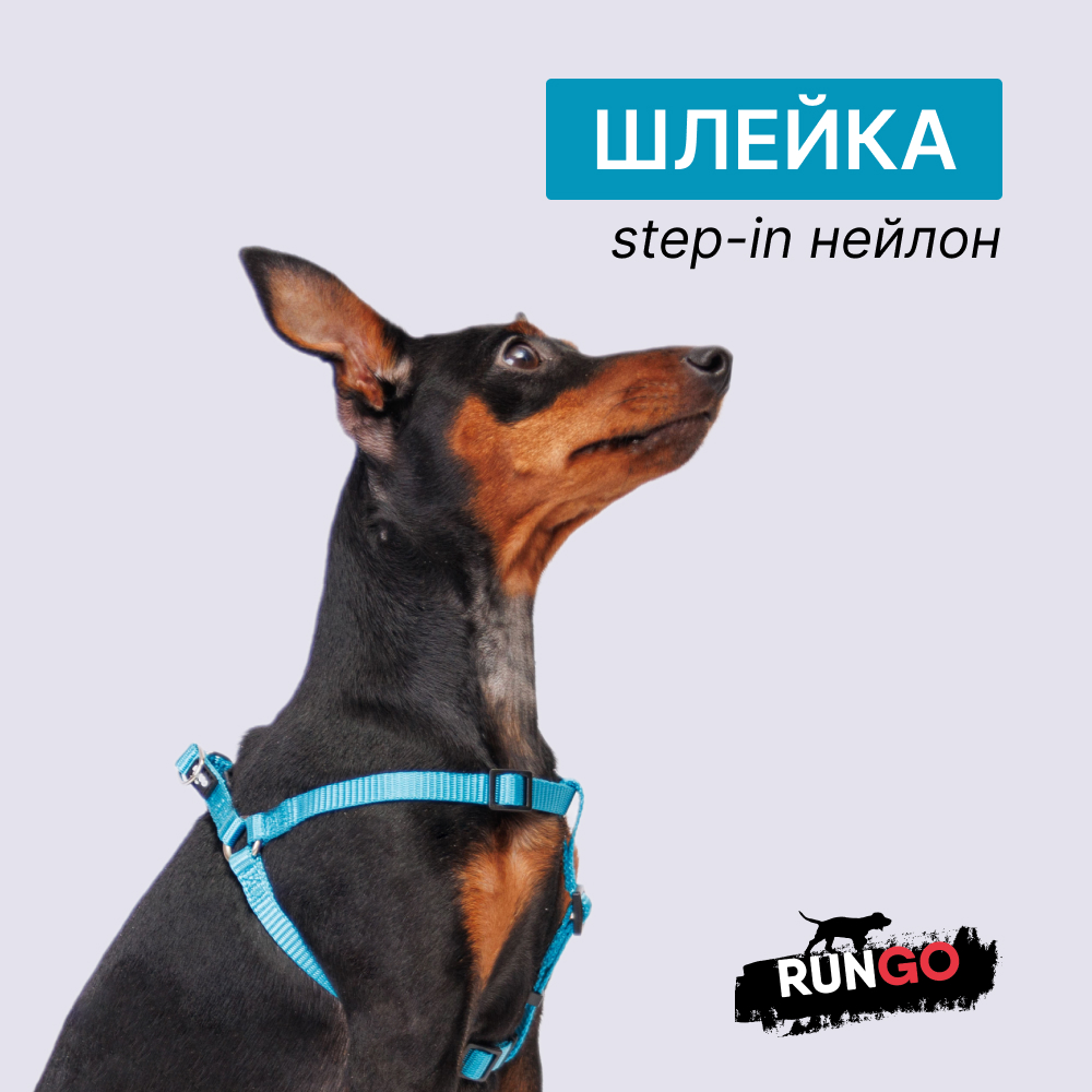 

Rungo Шлейка для собак нейлоновая Step-in, обхват груди , ширина 10 мм, голубая, Голубой